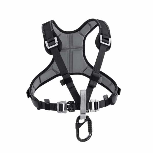 Harness